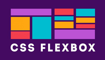 flex course